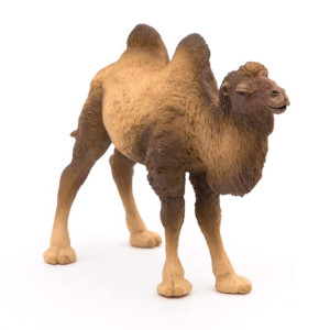 Los Mejores Camellos para el Belén