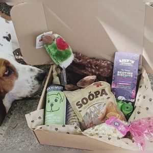 Comprar Regalos para Perros Online