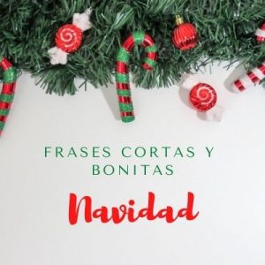 Frases Navideñas Cortas