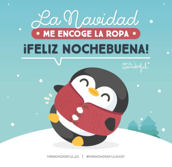 Las Mejores Frases de Navidad de Mr. Wonderful