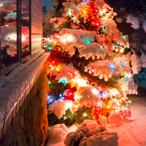 Decoración navideña de árboles exteriores