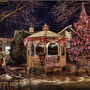 Decoración de jardín para Navidad