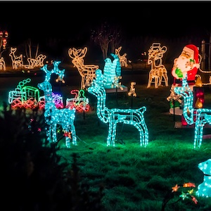 Decoración de Navidad con luces para exterior