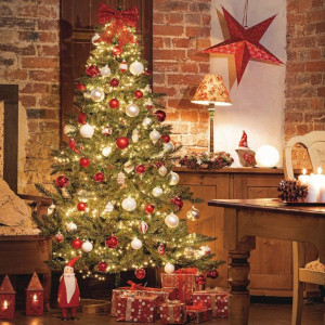 Lee más sobre el artículo Elige el árbol de Navidad perfecto