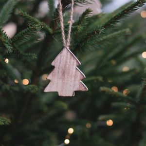 Lee más sobre el artículo ¿Qué es el síndrome del árbol de Navidad?