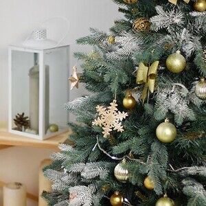 Lee más sobre el artículo ¿Por qué en Navidad se pone un árbol?