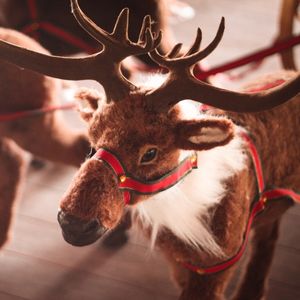 Lee más sobre el artículo Conoce a los renos voladores de Papá Noel