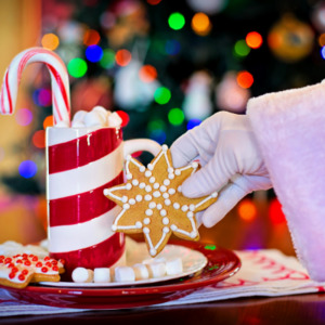 Lee más sobre el artículo Qué se le deja a Papá Noel para que se sienta bien recibido