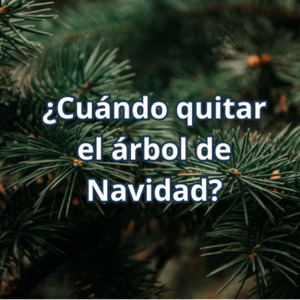 Cuándo guardar el árbol de Navidad