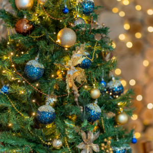 Lee más sobre el artículo Qué significan las bolas azules en el árbol de Navidad