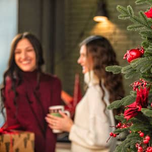 Cómo hay que presentar a los invitados en la cena de Navidad