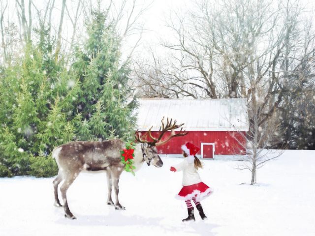 Origen de los renos de Papá Noel