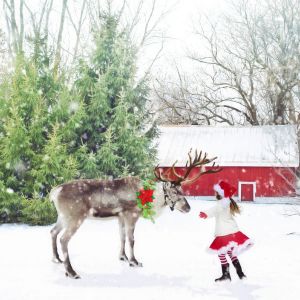 Origen de los renos de Papá Noel